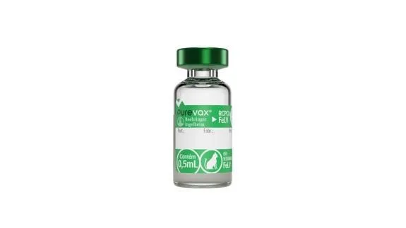 PUREVAX RCPCH FELV — Estojos contendo 50 doses (50 frascos de vacina liofilizada e 50 frascos de diluente)