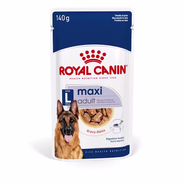 Royal Canin Maxi Adult Alimento Úmido