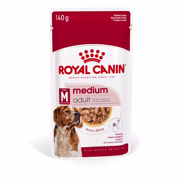 Royal Canin Medium Adult Alimento Úmido
