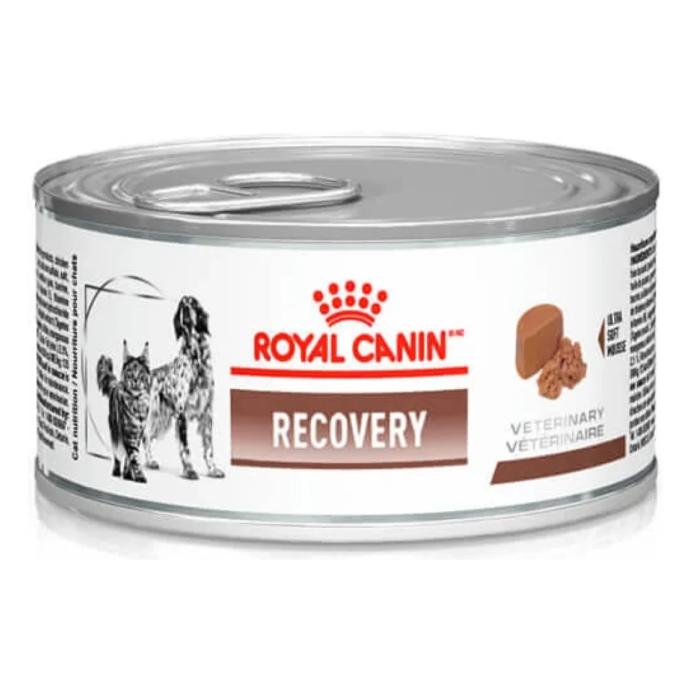 Royal Canin Recovery