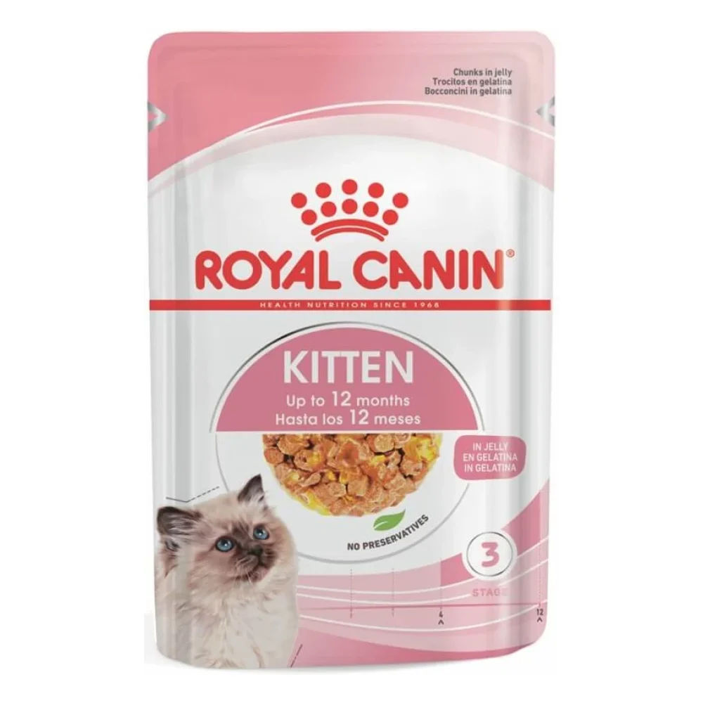 Kitten Jelly