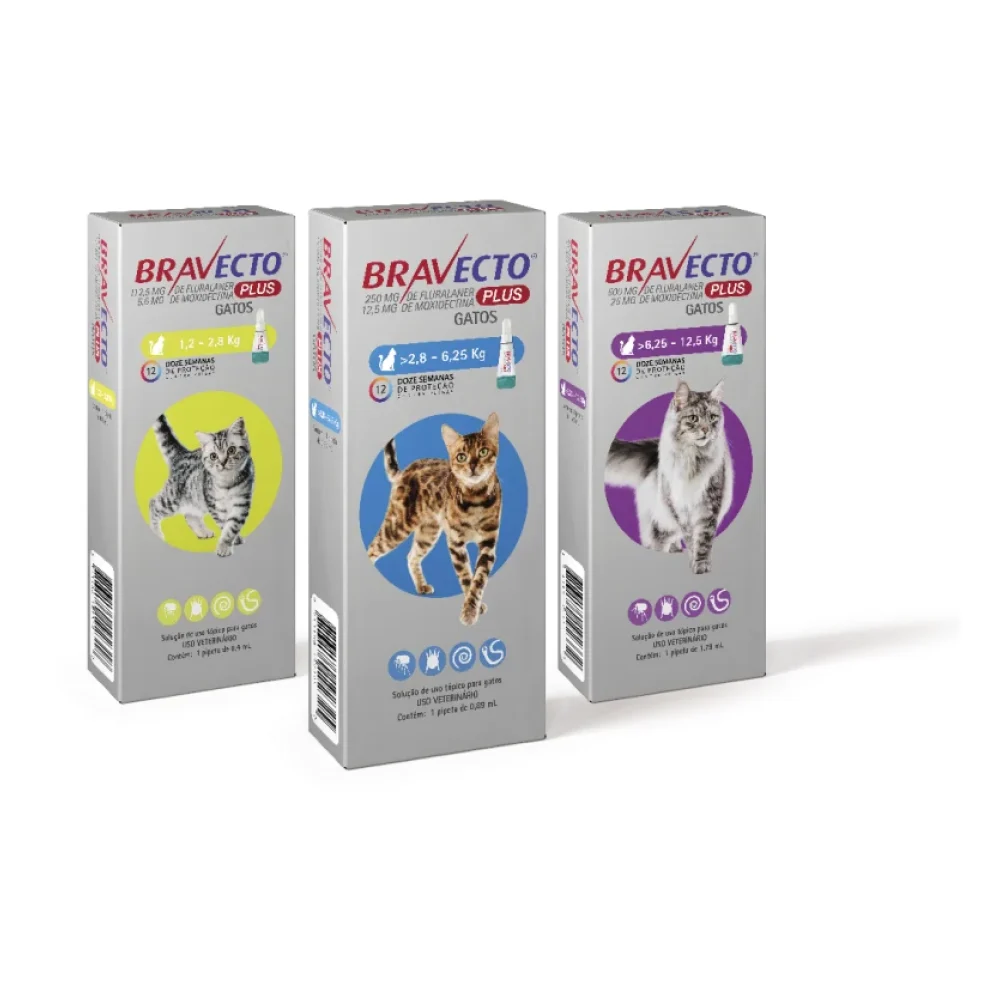 Bravecto® Plus Gatos