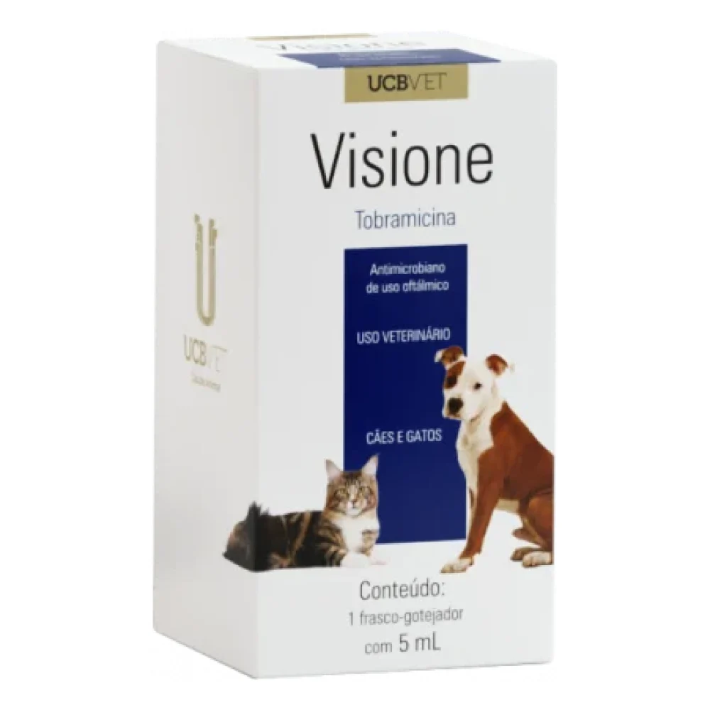 Visione