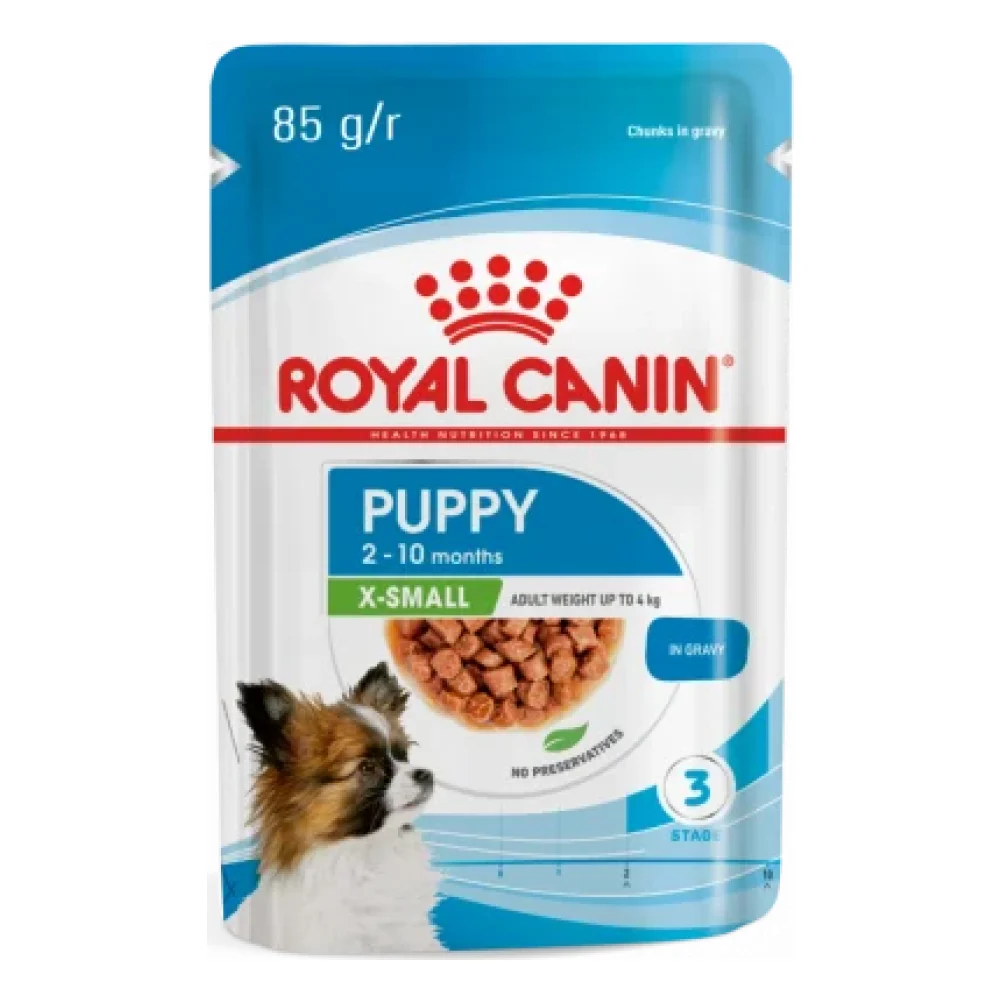 X-Small Puppy Wet